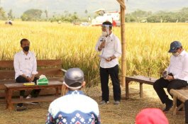 Jokowi Ulang Tahun Ke-60, Tepi Sawah Sidrap Beri Diskon 10%, Ayo Buruan!