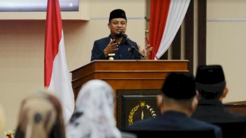 Plt Gubernur Sulsel, Andi Sudirman Sulaiman.