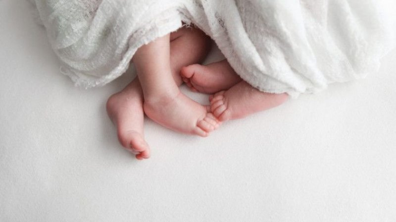 Ilustrasi bayi kembar (vintageduckphotography)