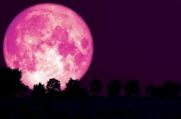 Jangan Lewatkan Bulan Purnama Stroberi 24 Juni, Supermoon Terakhir Tahun Ini