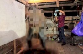 Mayat Sudah Berulat, Petani Ditemukan Tewas Tergantung di Rumah Kebun