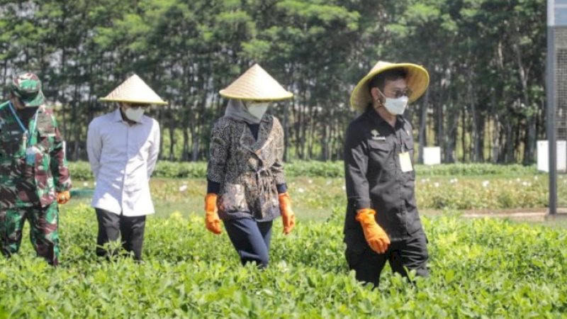 Resmikan IP2TP Muneng, Mentan SYL: Pulihkan Perekonomian Nasional Melalui Pengembangan Riset Pertanian