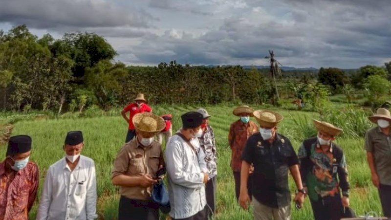 Bawang Merah dan Cabai Rawit Rubaru Jadi Potensi Andalan Hortikultura Sumenep