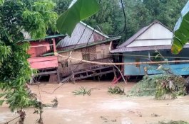Sejumlah Desa di Wajo Tergenang Banjir, Kepala BPBD Sulsel Pastikan Logistik Aman
