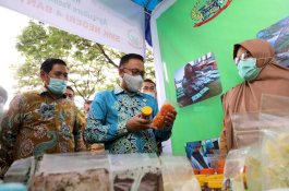 Bantaeng Jadi Lokasi Implementasi Wirausaha Muda Pertanian