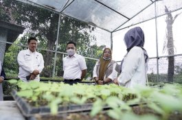 Bupati Bantaeng Dorong Petani Produksi Pangan Organik