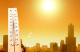 Gelombang Panas Suhu Tertinggi Sepanjang Masa, Banyak Korban Jiwa Berjatuhan di AS