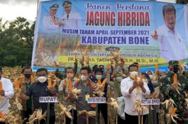 Panen Raya di Bone, Mentan SYL: Kalau Tanam Jagung Harus Dihitung Keuntungannya