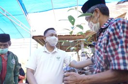 Bupati Bantaeng Apresiasi Program Padat Karya Budidaya Pala Bonto Tappalang