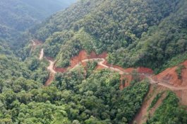 Plt Gubernur Sulsel Tinjau Jalan Rintisan Palopo-Pantilang-Torut