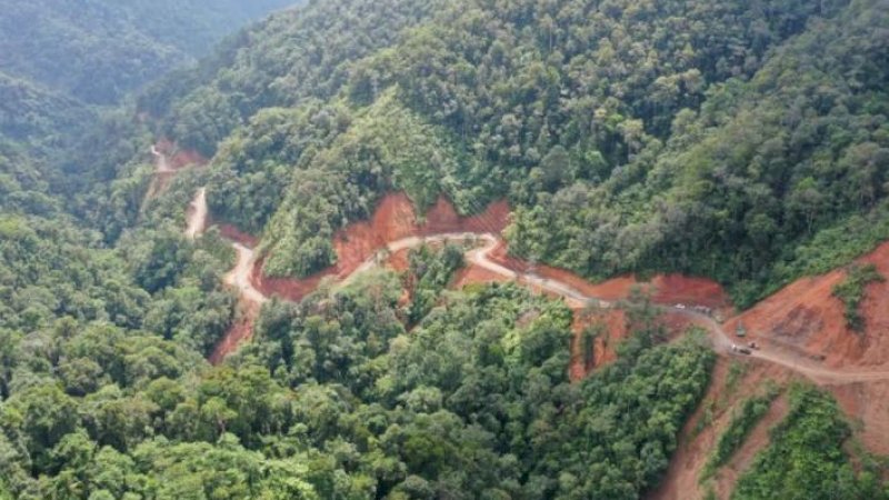 Plt Gubernur Sulsel Tinjau Jalan Rintisan Palopo-Pantilang-Torut