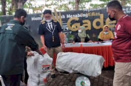 Yuk, Ikutan! Pegadaian Gelar Lomba Memilah Sampah Menabung Emas 2021