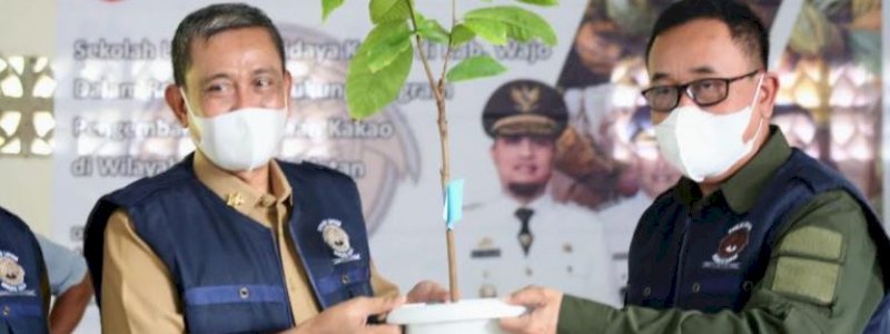 Sekolah Lapang Budi Daya Kakao, Amran Mahmud Ingin Kembalikan Kejayaan Kakao Wajo