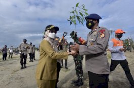 Kenang Setahun Banjir Bandang, Bupati Luwu Utara Pimpin Aksi Tanam Pohon di Bantaran Sungai