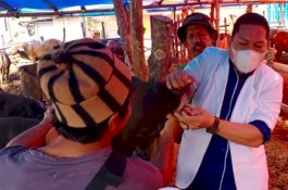 Jelang Iduladha, Dinas PKP Parepare Sasar Tempat Penjualan Hewan Kurban