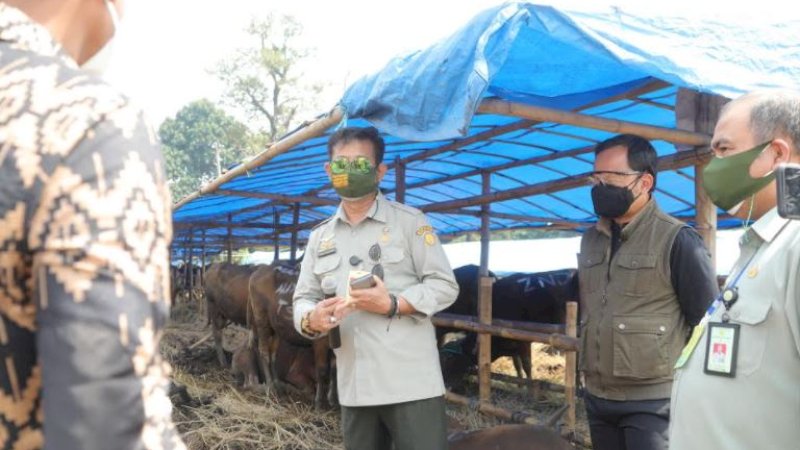 Menteri Pertanian (Mentan), Syahrul Yasin Limpo (SYL), saat mengunjungi depo 1.000 sapi kurban di Kota Bogor, Jawa Barat, Kamis (15/7/2021).