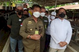 Pastikan Hewan Kurban Terpenuhi, Mentan Kunjungi Rumah Potong Hewan yang Ada di Makassar