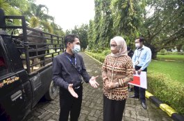 Pemda Luwu Utara Terima 1 Ekor Sapi Kurban dari Bank Sulselbar Masamba