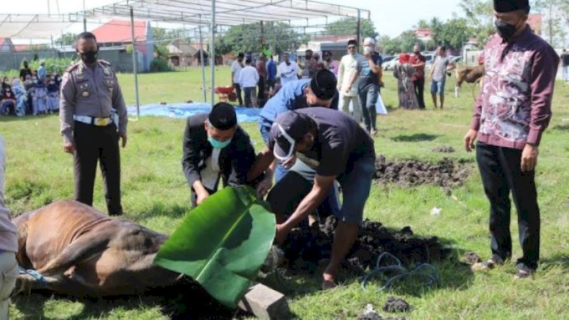 Proses penyembelian hewan kurban Polres Jeneponto, Selasa (20/7/2021).