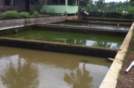 Pelaku Tewas Membentur Batu, Dua Wanita Muda Korban Percobaan Pemerkosaan Ini Dilepaskan dari Hukuman