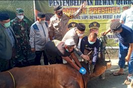 Sembelih Hewan Kurban Bantuan Presiden, Wali Kota Palopo Doakan Jokowi