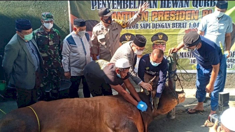 Sembelih Hewan Kurban Bantuan Presiden, Wali Kota Palopo Doakan Jokowi