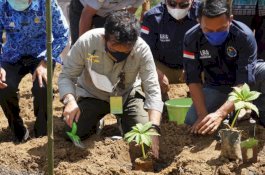 Wakil Ketua DPRD Sulsel Apresiasi Pengembangan Porang dan Walet Kementan