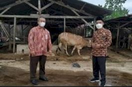 Terima Hewan Kurban dari BSI, Kemenag Sulsel: Ini demi Kemaslahatan Umat