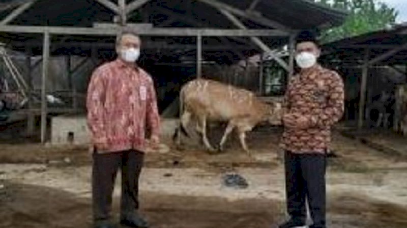 Penyerahan hewan kurban dilakukan di Rumah Potong Hewan (RPH) Daeng Lala Antang Makassar, Selasa (22/7/2021).