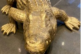 Polisi Tanggapi Laporan Buaya Lepas di Gedung Kondominium, Ternyata ...