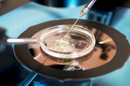 Pasien Covid-19 Berusia 32 Tahun Meninggal Beberapa Saat Setelah Spermanya Diambil Atas Permintaan Istri