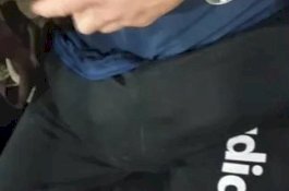 Coba Kelabui Polisi, Pria Ketahuan Sembunyikan 4 Anak Kucing dalam Celana karena Mengeong