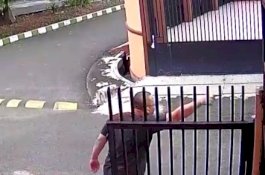 Pemilik Anjing di Jakarta Barat Tewas dengan Sekali Pukulan, Polisi Bongkar Rahasianya