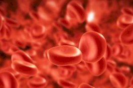 Darah Muda Bisa Perlambat Penuaan?