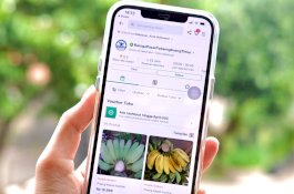 Termasuk Makassar, Tokopedia Gencarkan Digitalisasi Pasar Tradisional