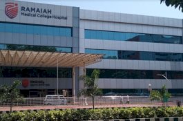 Dokter Jatuh dari Teras Rumah Sakit Usai Bicara Lewat Telepon tentang Mobil Rusak yang Hendak Diperbaiki