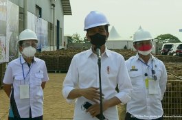 Kementan Jadikan Porang sebagai Mahkota Komoditas Andalan Pertanian