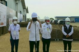 Presiden Jokowi: Porang Adalah Makanan Masa Depan Rendah Gula