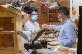 Inilah Salah Satu Madu Terbaik Arab Saudi, Harganya Rp4,6 Juta Per Kilogram