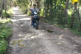 Bertahun-tahun Rusak Parah, Warga Selayar Kecewa Jalannya Tak Diperhatikan