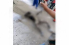 Honda Win Vs Suzuki Shogun Tabrakan di Gowa, 1 Orang Tewas Terbakar