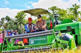 Panen Padi di Wajo Bisa Capai 570 Ribu Ton, Bupati: Ini Kesyukuran di Tengah Pandemi