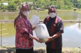 Bantu Pemulihan Ekonomi, Dinas PKP Parepare Serahkan Bantuan Bibit Ikan