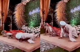 Menikah Sesama Pelatih Kebugaran, Kedua Mempelai Push Up di Pelaminan