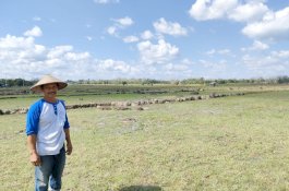 Program Asuransi Pertanian Terbukti Lindungi Petani di Bantaeng
