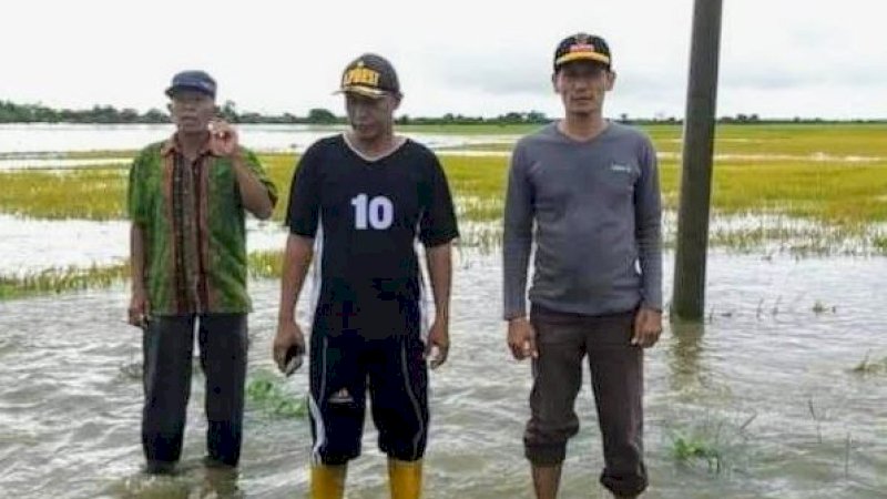 Sawah terendam banjir di Kabupaten Wajo, Sulawesi Selatan, mencapai puluhan ribu hektare.