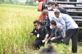 Berkunjung ke Merauke, Mentan Salurkan Bantuan Senilai Rp19,43 Miliar