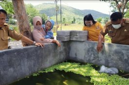 Dinas PKP Kembali Salurkan Bibir Nila ke Warga Pembudi Daya