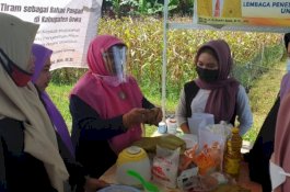 Pelatihan Pengolahan Jamur Tiram Sebagai Bahan Pangan di Gowa Mendapat Atensi Masyarakat