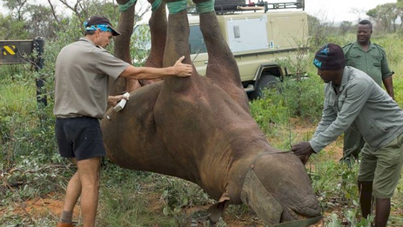 Ilustrasi. Foto: Robin Radliffe/BBC.